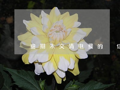 逾期未交清电费的 信用卡 逾期未交清电费的 信用卡